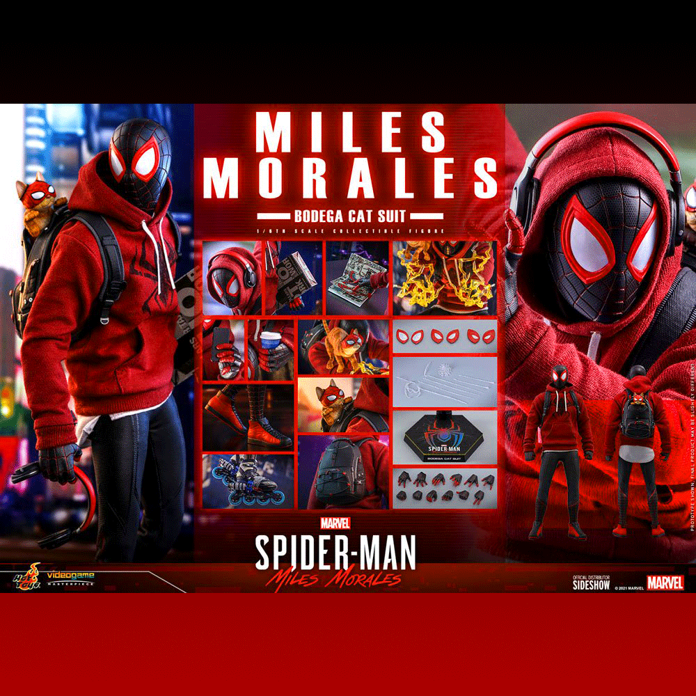 Hot Toys Action Figure 1/6 Miles Morales Bodega Cat Suit 29 cm 4895228607874