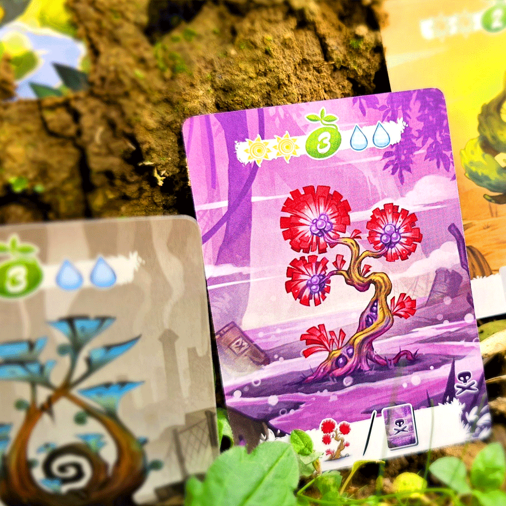 Treetopia Little Rocket Games Carte Family 806812035281
