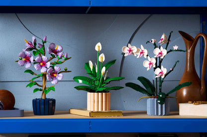 Spatifillo Lego Botanicals 11504