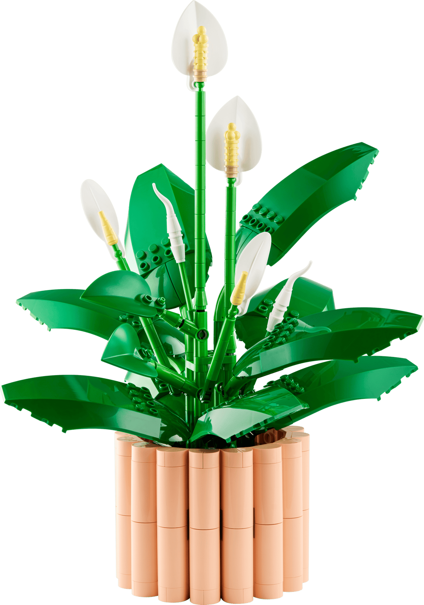 Spatifillo Lego Botanicals 11504