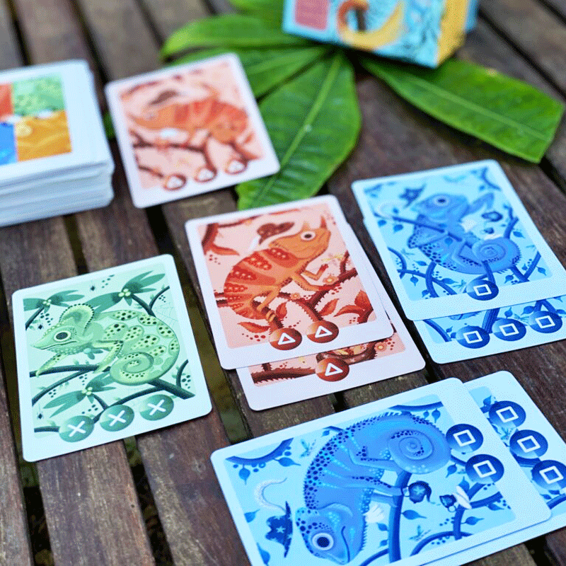 Camelio Little Rocket Games Carte Family 0806812035403