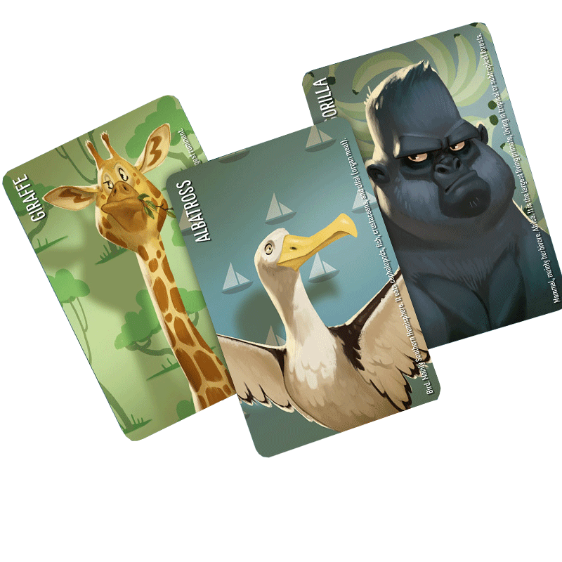 similo-animali-selvaggi-ghenos-games-carte